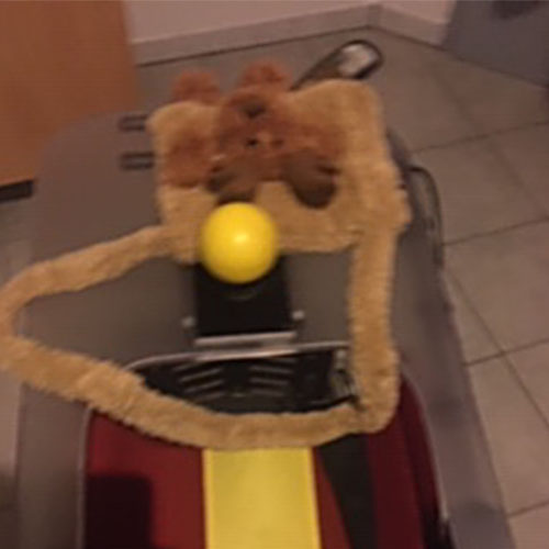 Ein kuscheliger Muff mit  Teddy, der die kleinen Hände der Patientin warm halten soll und ein gelber Steuerknüppel, mit dem das Mädchen ihren Rollstuhl selbst steuern kann.