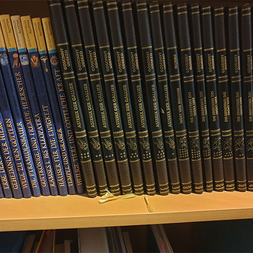 Bände aus zwei verschiedenen Bücherreihen stehen aufgereiht im Regal.