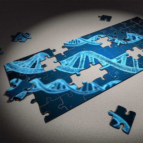 Ein Puzzle, auf dem DNA-Stränge abgebildet sind. Das Puzzle ist noch nicht fertig zusammengesetzt.