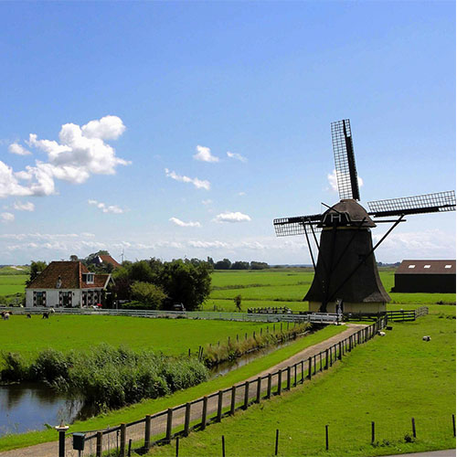 Landschaft in den Niederlanden: grüne Weiden, Teich und holländische Windmühle.