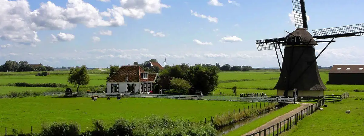 Landschaft in den Niederlanden: grüne Weiden, Teich und holländische Windmühle.
