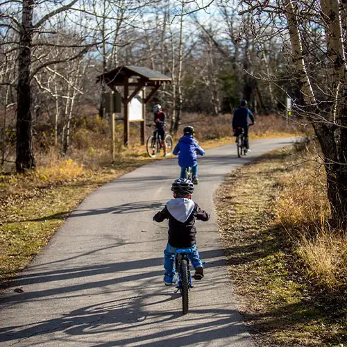 Eine Familie mit zwei Kindern fährt gemeinsam Fahrrad auf einem Waldweg.