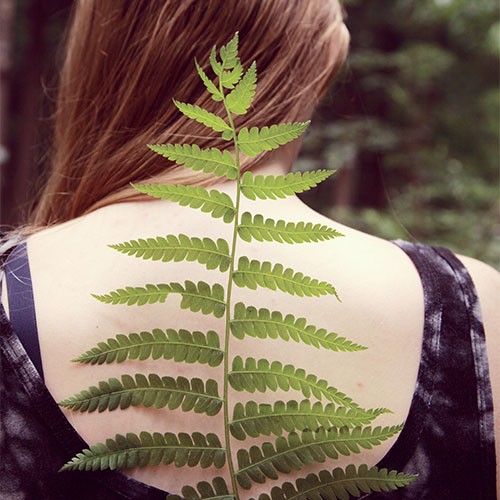Test Gif