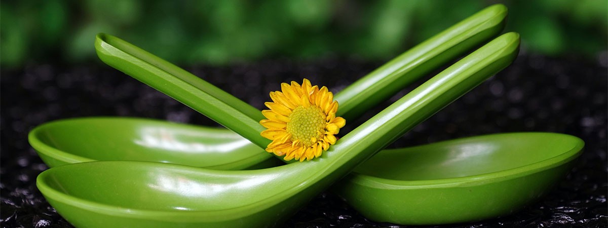 Grüne Löffel mit einer gelben Blume liegen vor einem Natur-Hintergrund.