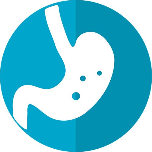 Ein Symbol eines Magens in einem blauen Kreis.