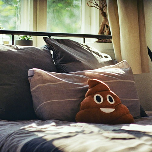 Im Bett liegt ein braunes Kissen, welches einen Haufen darstellt. Das "große Geschäft" hat ein lächelndes Gesicht.