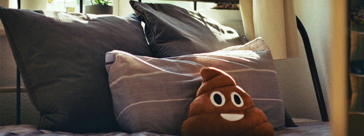 Im Bett liegt ein braunes Kissen, welches einen Haufen darstellt. Das "große Geschäft" hat ein lächelndes Gesicht.