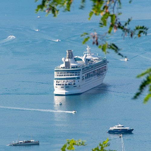 Ein Kreuzfahrtschiff und andere Boote fahren auf dem blauen Meer. Im Vordergrund sind grüne Blätter zu sehen.