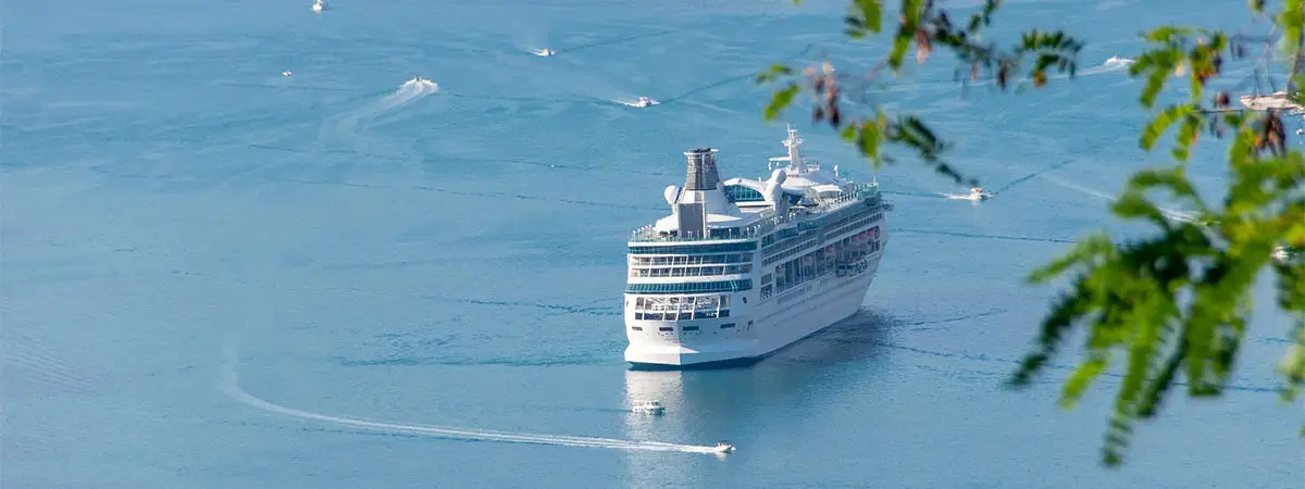 Ein Kreuzfahrtschiff und andere Boote fahren auf dem blauen Meer. Im Vordergrund sind grüne Blätter zu sehen.