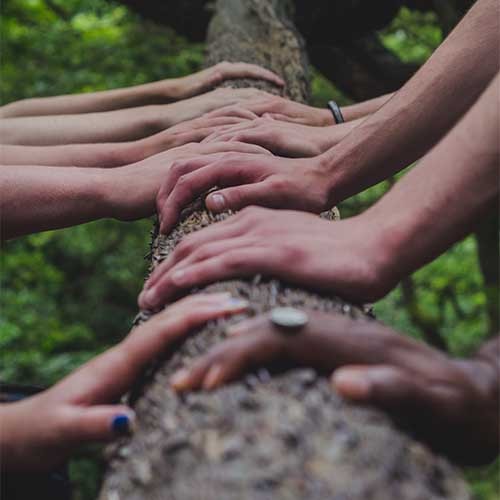 Mehrere Hände auf einem Baumstamm