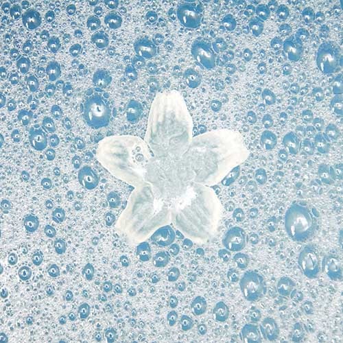 Weißer Schaum auf dem blauen Wasser einer Badewanne und eine weiße Blüte.