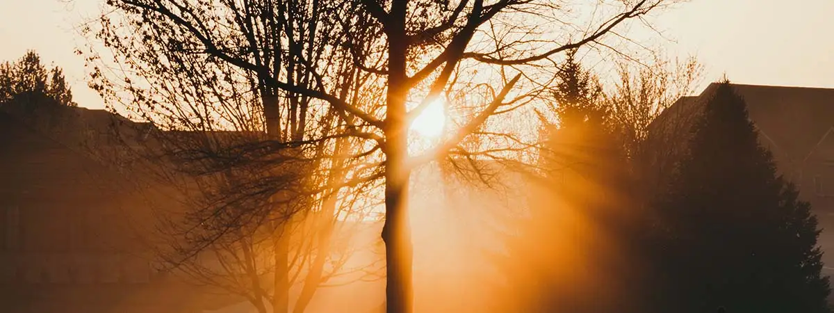 Ein vernebelter Sonnenuntergang in einem Wohngebiet. Die Sonne strahlt in warmen Orangetönen am Horizont durch die Bäume. 