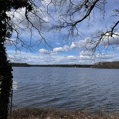 Blick über einen See mit kahlen Bäumen, bewölktem Himmel und einem kleinen Segelboot in der Ferne.