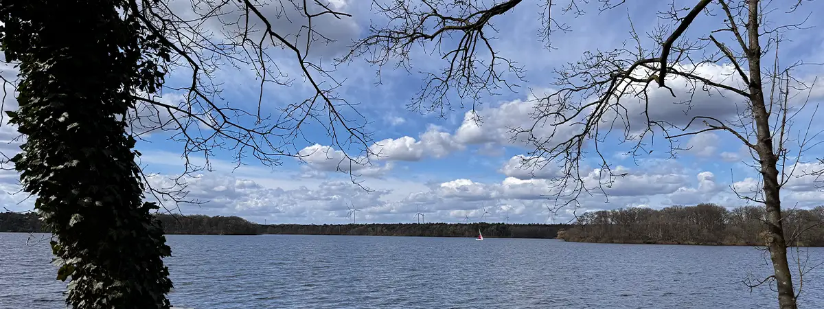 Blick über einen See mit kahlen Bäumen, bewölktem Himmel und einem kleinen Segelboot in der Ferne.