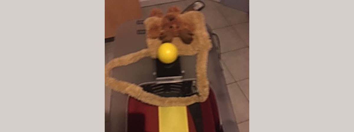 Ein kuscheliger Muff mit  Teddy, der die kleinen Hände der Patientin warm halten soll und ein gelber Steuerknüppel, mit dem das Mädchen ihren Rollstuhl selbst steuern kann.
