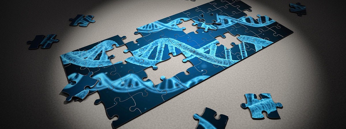 Ein Puzzle, auf dem DNA-Stränge abgebildet sind. Das Puzzle ist noch nicht fertig zusammengesetzt.